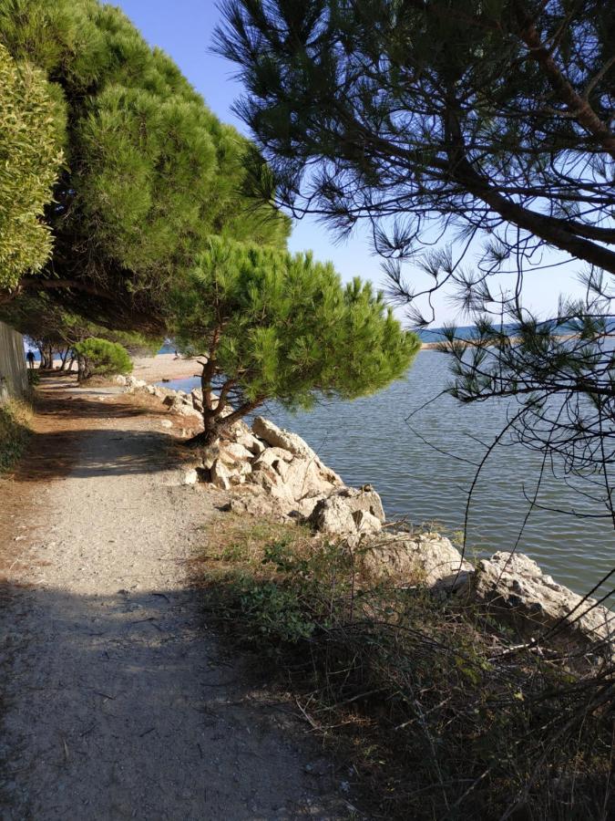 Charmant Appartement A 350M De La Plage Et Du Port Fréjus Zewnętrze zdjęcie